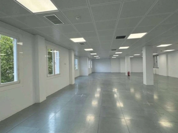 OFICINA _ Entre Colón y Cibeles, presencia para tu negocio