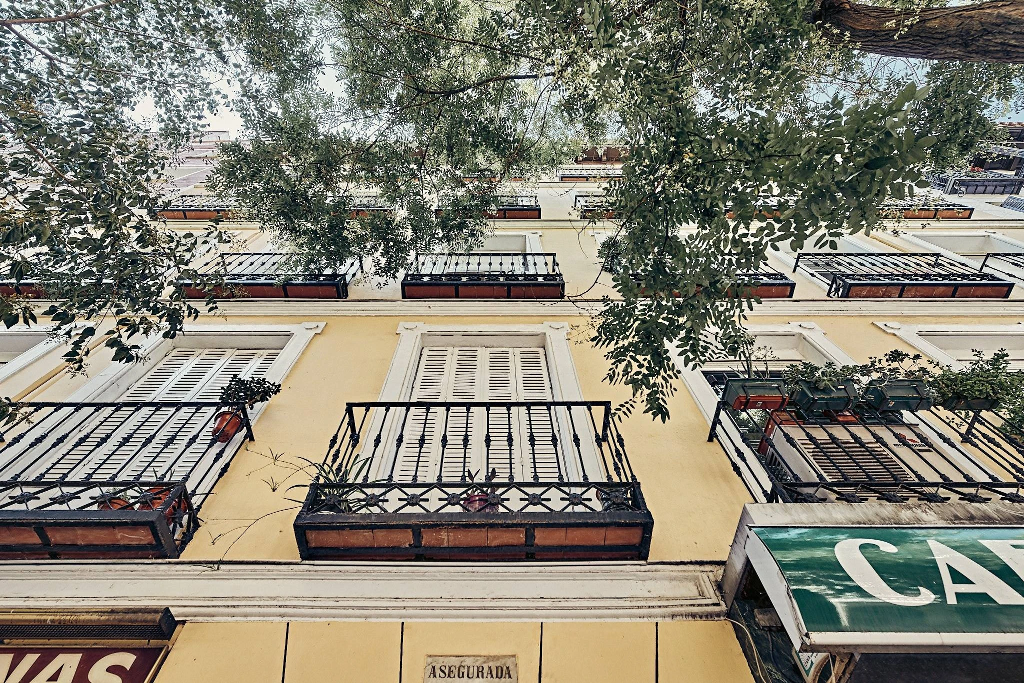 PISO | ¿Te imaginas vivir en Goya? PISO | ¿Te imaginas vivir en Goya?