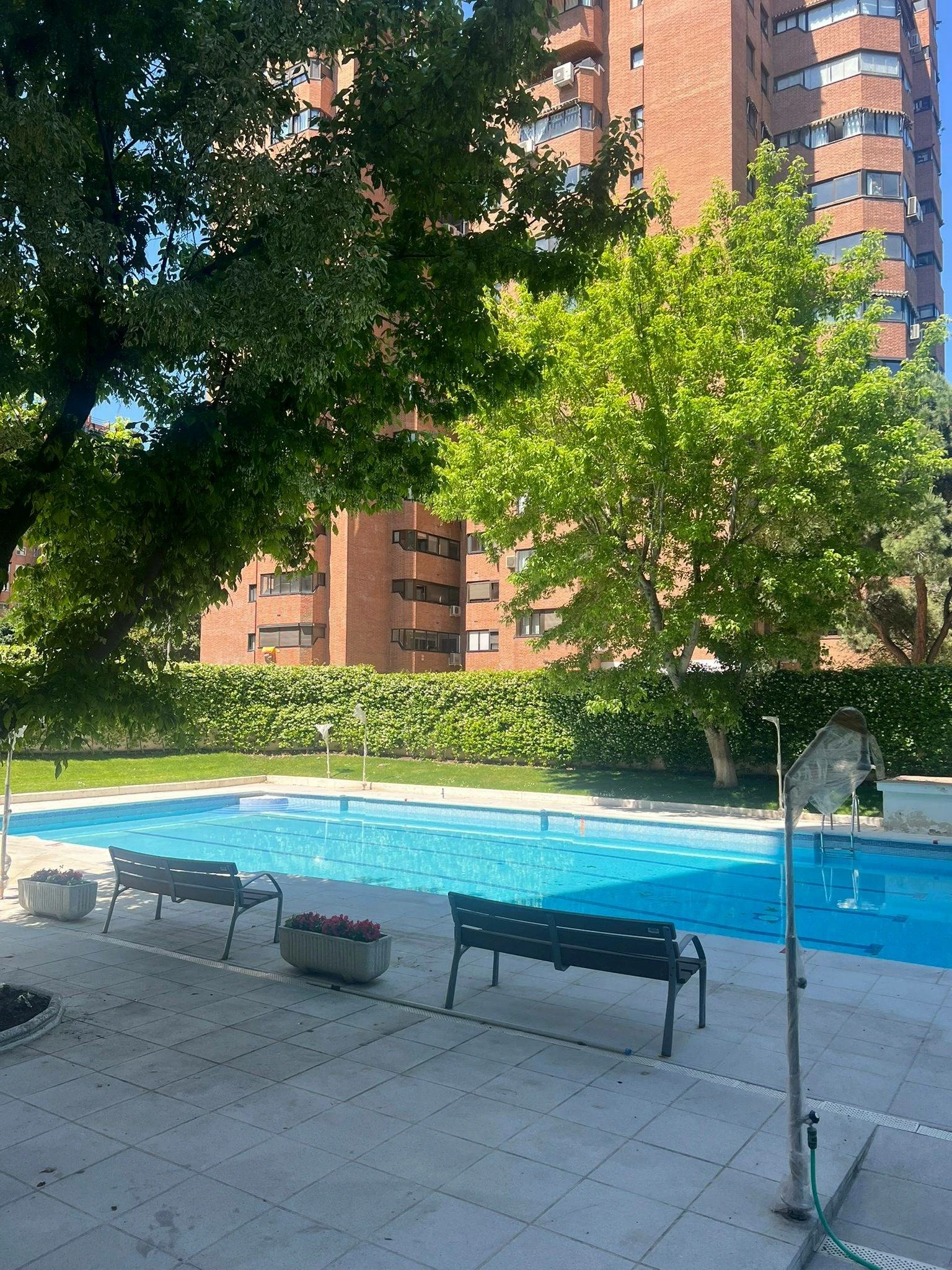 Espectacular piso del año 1980 con orientación oeste, todo exterior, situado en La Paz, en una de las urbanizaciones más exclusivas de la zona Madr Espectacular piso del año 1980 con orientación oeste, todo exterior, situado en La Paz, en una de las urbanizaciones más exclusivas de la zona Madr